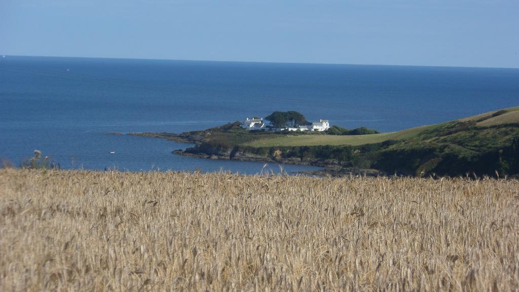 Wild Air Guest House Mevagissey Εξωτερικό φωτογραφία